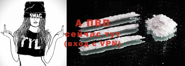 таблы Бородино