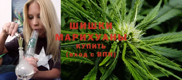 таблы Бородино