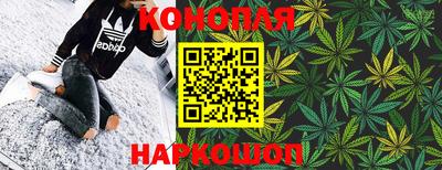стаф Донецк