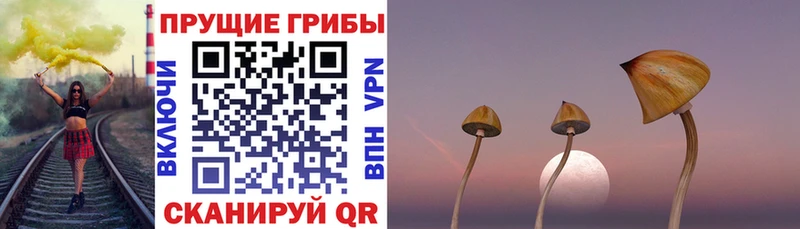 Галлюциногенные грибы мухоморы Можайск
