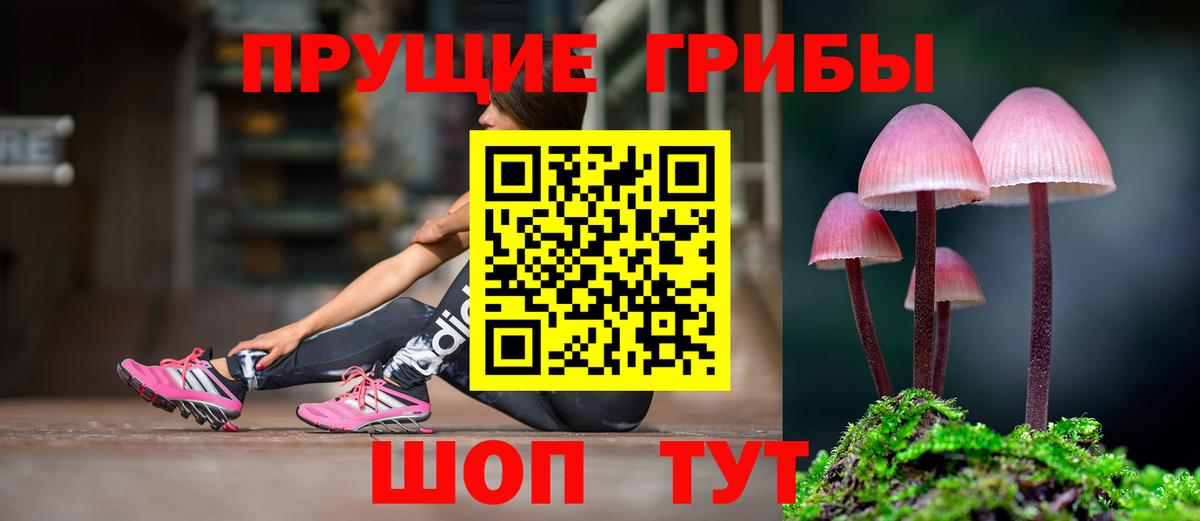 Псилоцибиновые грибы Psilocybine cubensis Можайск
